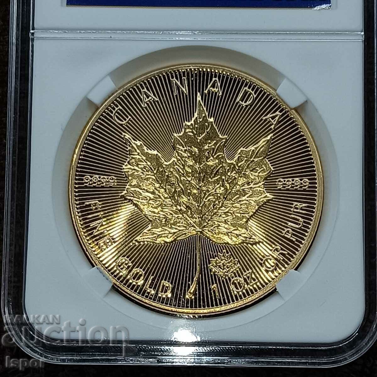 Canada sheet 2021 reads the description - 6 Canada sheet 2021 reads the description - 6