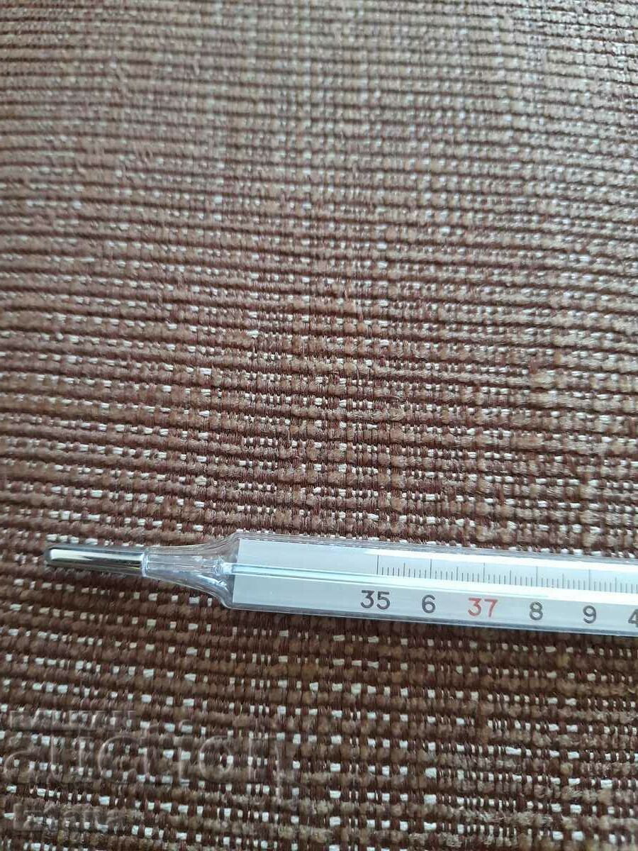 Auction Old body thermometer Auction Old body thermometer