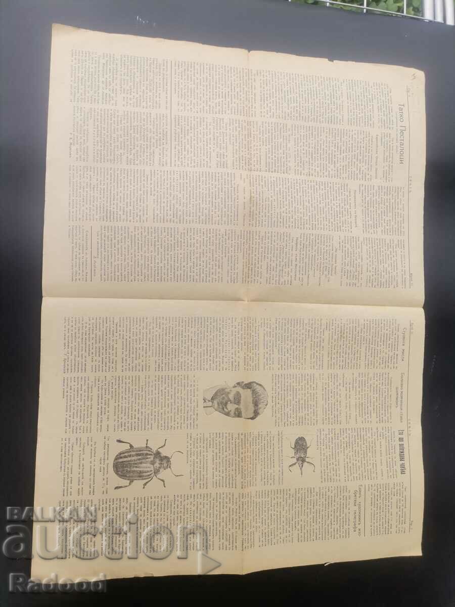 Auction  Newspaper Sveta 1927 Number 10