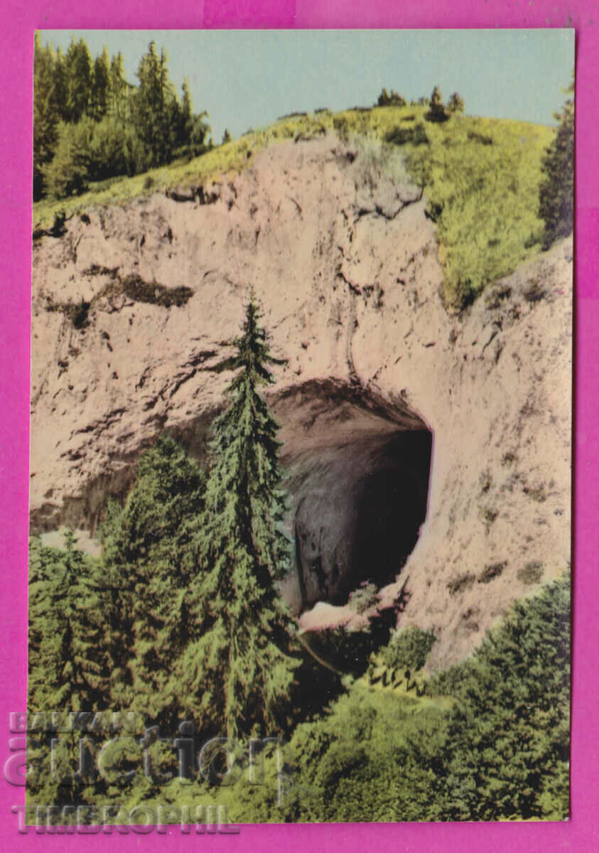 Auction 311638 / Smolyan - Erkyupria PK Directorate of Photography Auction 311638 / Smolyan - Erkyupria PK Directorate of Photography