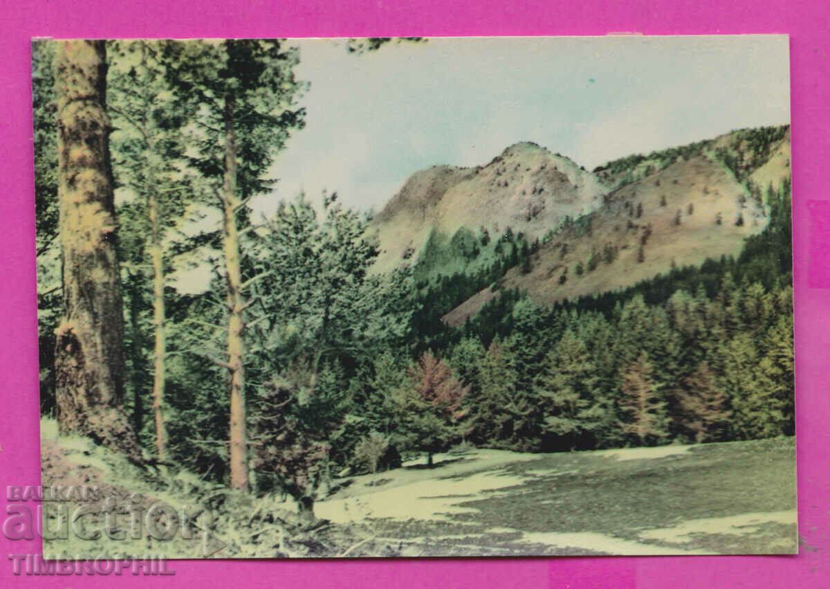 Auction 311639 / Smolyan - Vrah Moder PK Directorate of Photography Auction 311639 / Smolyan - Vrah Moder PK Directorate of Photography