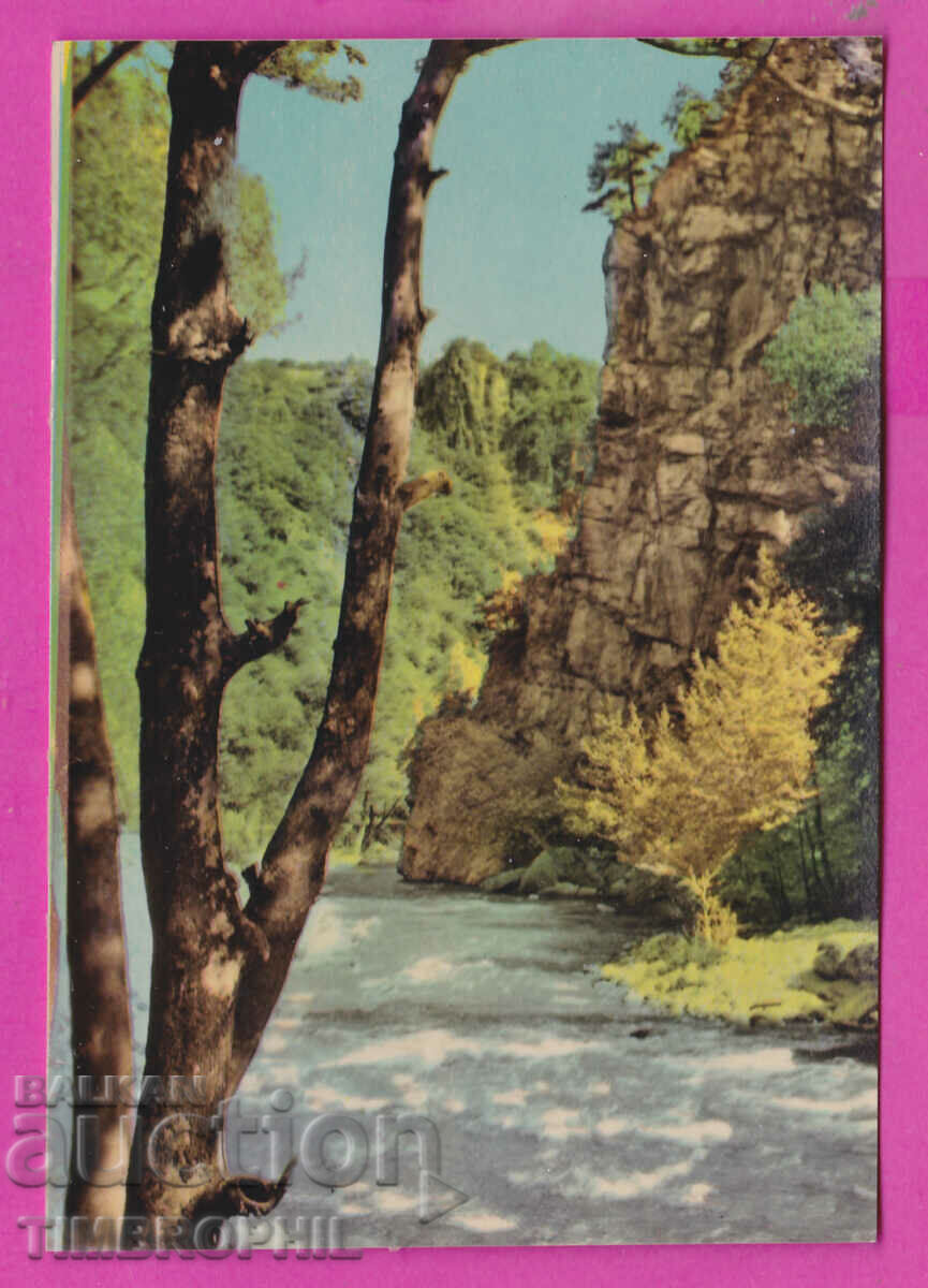 Auction 311640 / Smolyan Chepelarska Reka PK Directorate of Photography Auction 311640 / Smolyan Chepelarska Reka PK Directorate of Photography