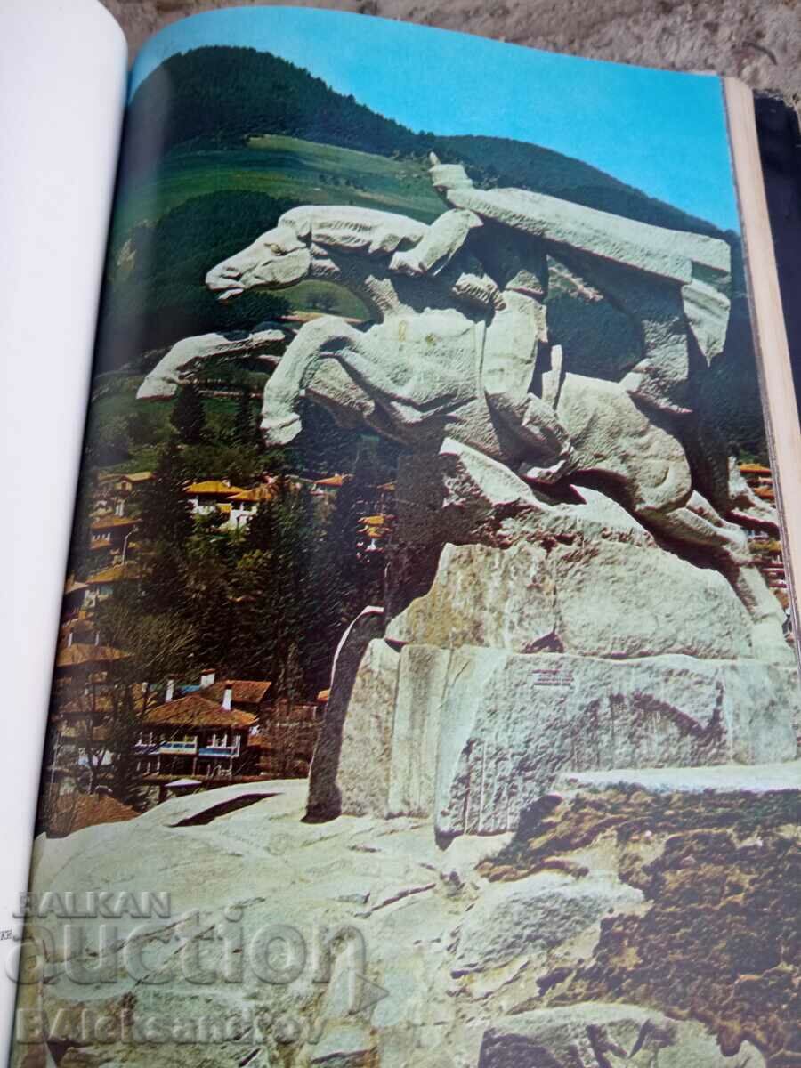 Auction Book about Nettle Auction Book about Nettle