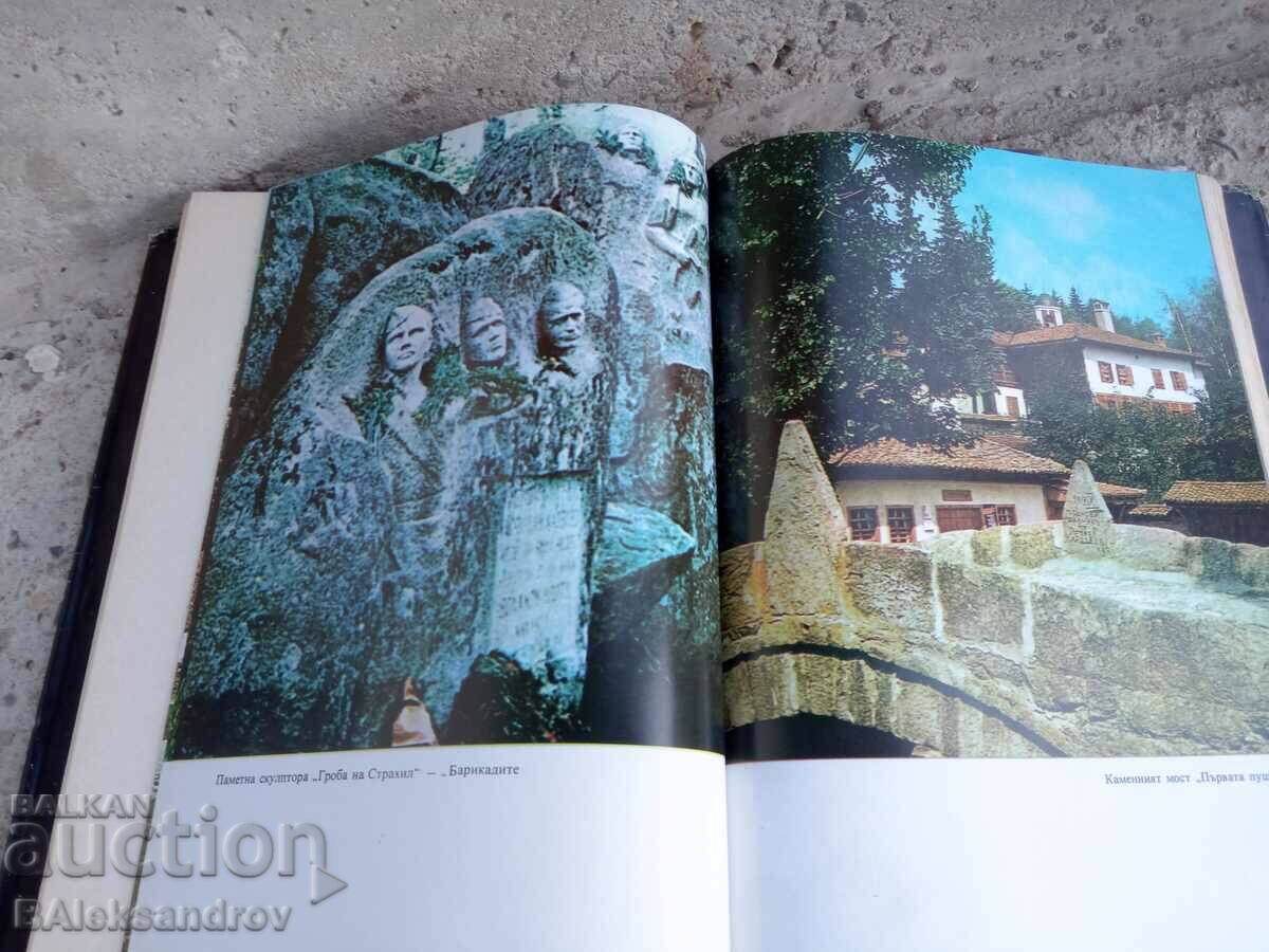 Book about Nettle - 5 Book about Nettle - 5