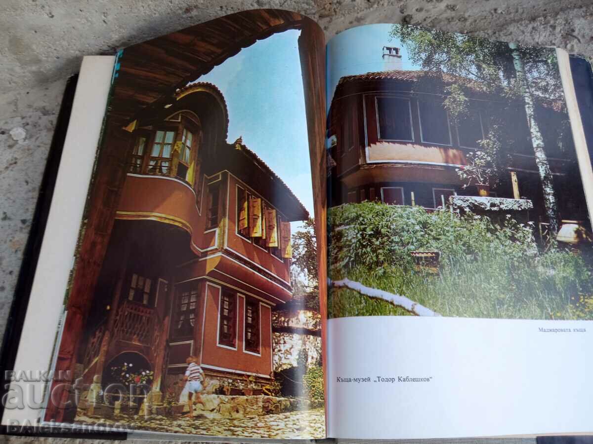 Book about Nettle - 6 Book about Nettle - 6