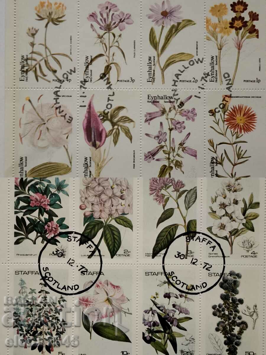 Delivery of STAFFA brand series Delivery of STAFFA brand series