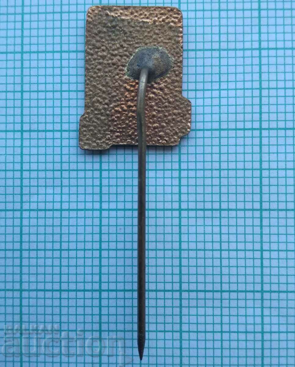 Auction 15991 Badge - Tourist NRB - bronze enamel Auction 15991 Badge - Tourist NRB - bronze enamel