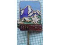 15991 Badge - Tourist NRB - bronze enamel