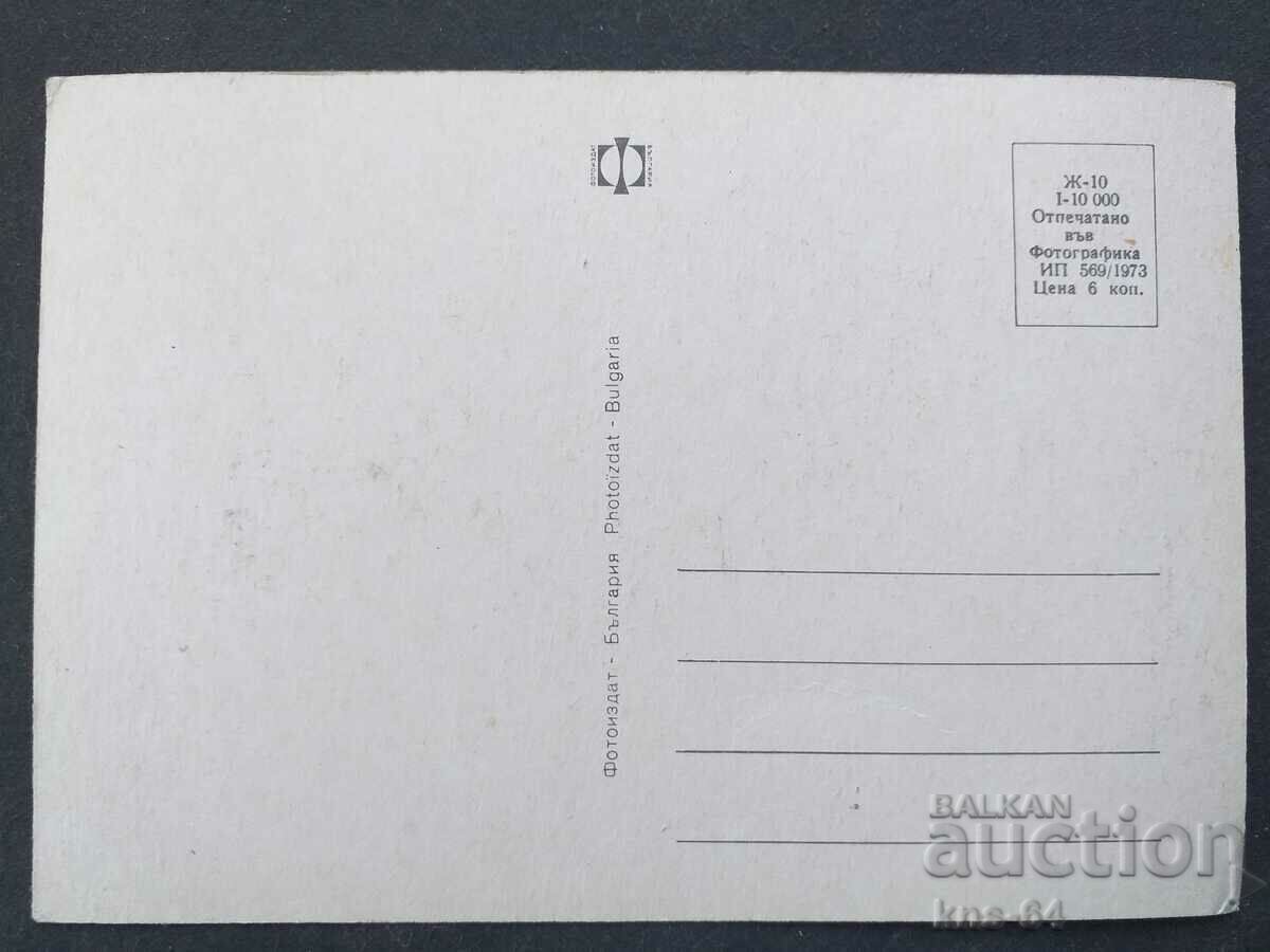 Cats with price 0.60 BGN | € 0.31 Cats with price 0.60 BGN | € 0.31