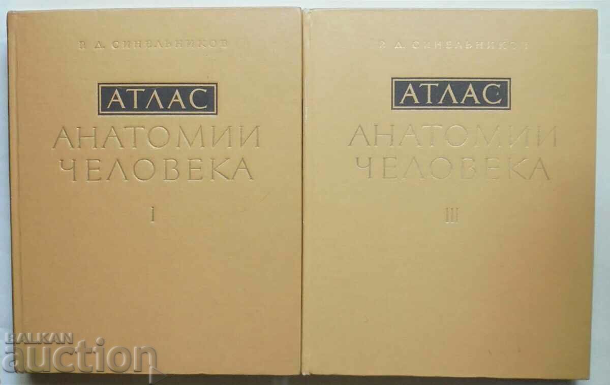 Atlas of human anatomy. Volume 1, 3 R. D. Sinelnikov 1978