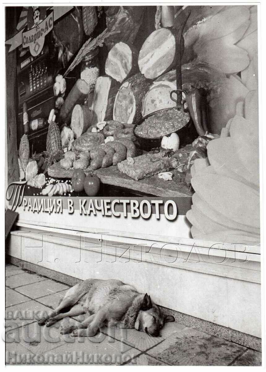 FOTO VECHE STREET VIEW CU CÂINE DIMENSIUNE ~23,5 x 17 cm D866 FOTO VECHE STREET VIEW CU CÂINE DIMENSIUNE ~23,5 x 17 cm D866