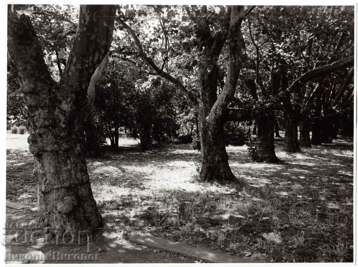 OLD PHOTO FROM A PHOTO EXHIBITION SIZE ~23.5 x 17 cm D873 OLD PHOTO FROM A PHOTO EXHIBITION SIZE ~23.5 x 17 cm D873