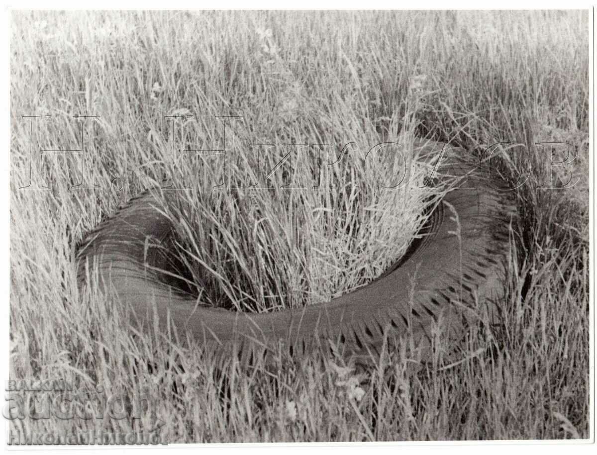 OLD PHOTO FROM A PHOTO EXHIBITION SIZE ~23.5 x 17 cm D874