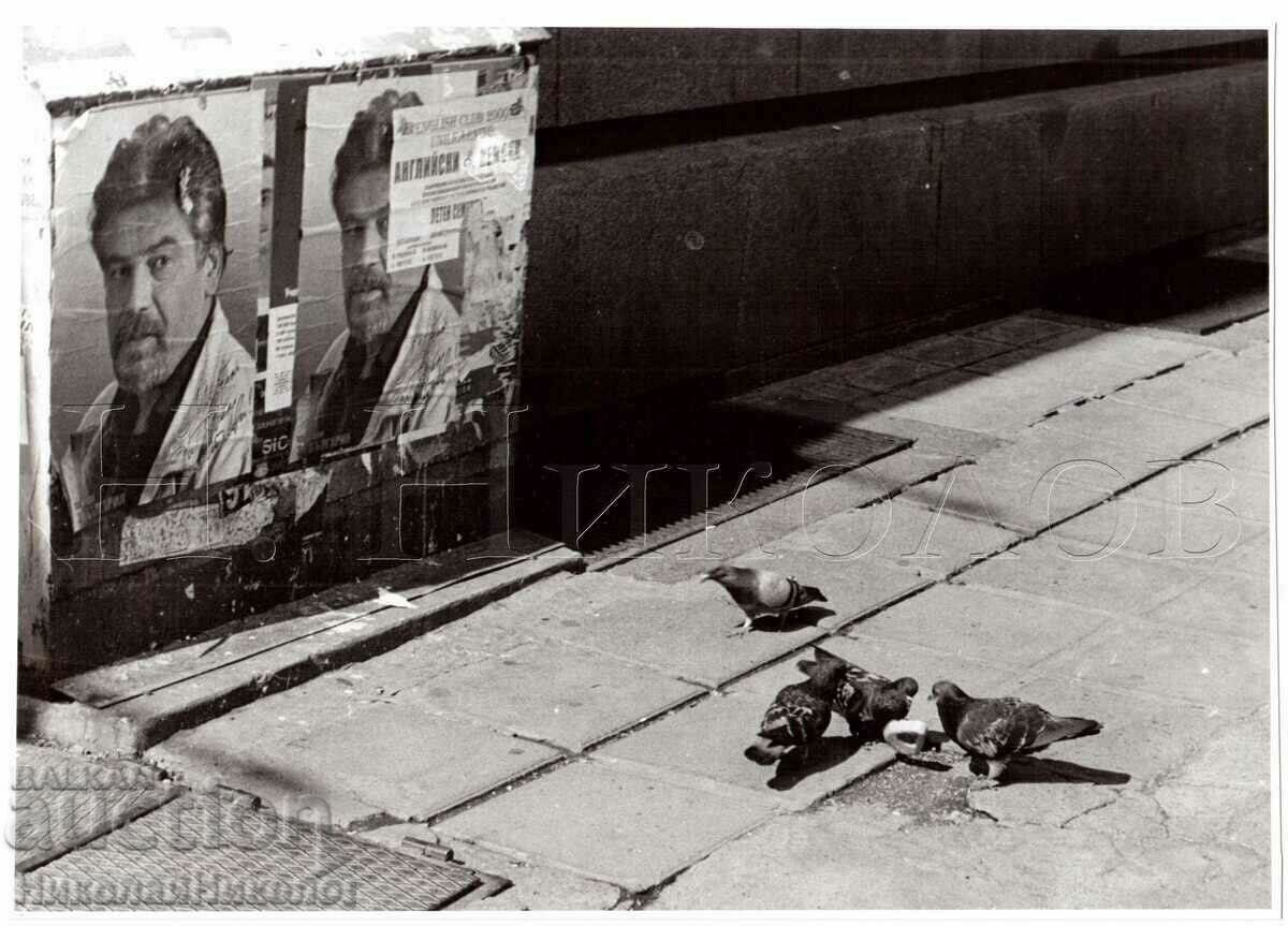 OLD PHOTO FROM A PHOTO EXHIBITION SIZE ~23.5 x 16.5 cm D879 OLD PHOTO FROM A PHOTO EXHIBITION SIZE ~23.5 x 16.5 cm D879