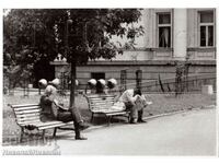 FOTO VECHE DIN O EXPOZIȚIE DE FOTO DIMENSIUNE ~23,5 x 16,5 cm D884