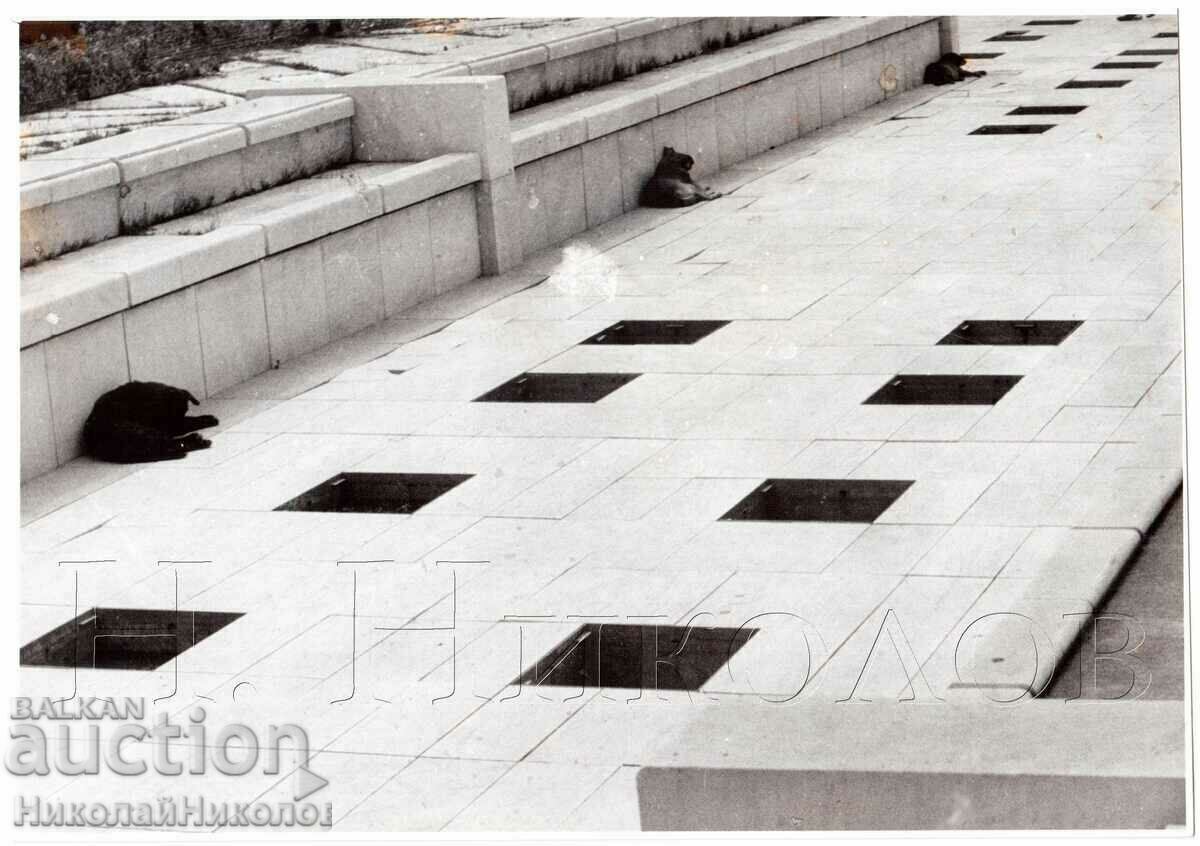 OLD PHOTO FROM A PHOTO EXHIBITION SIZE ~23.5 x 16.5 cm D885 OLD PHOTO FROM A PHOTO EXHIBITION SIZE ~23.5 x 16.5 cm D885