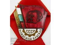 Youth Brigade in the USSR-Rare sign-Email