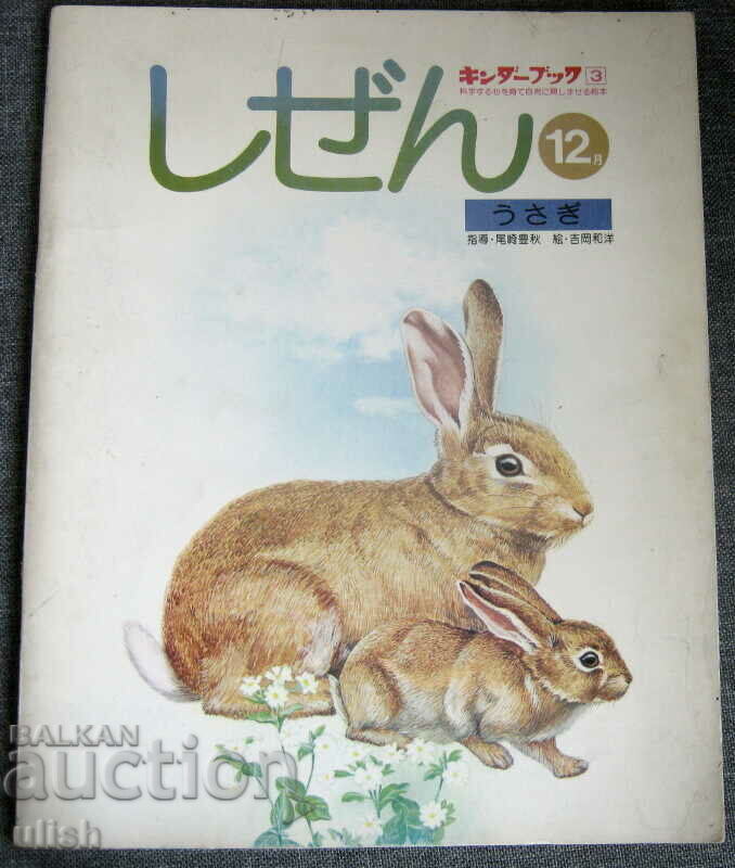 1975 Seria japoneza Natură cărți pentru copii iepure