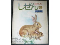 1975 Seria japoneza Natură cărți pentru copii iepure