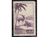 Μαρόκο-1939-Regular-Gazelle, MLH
