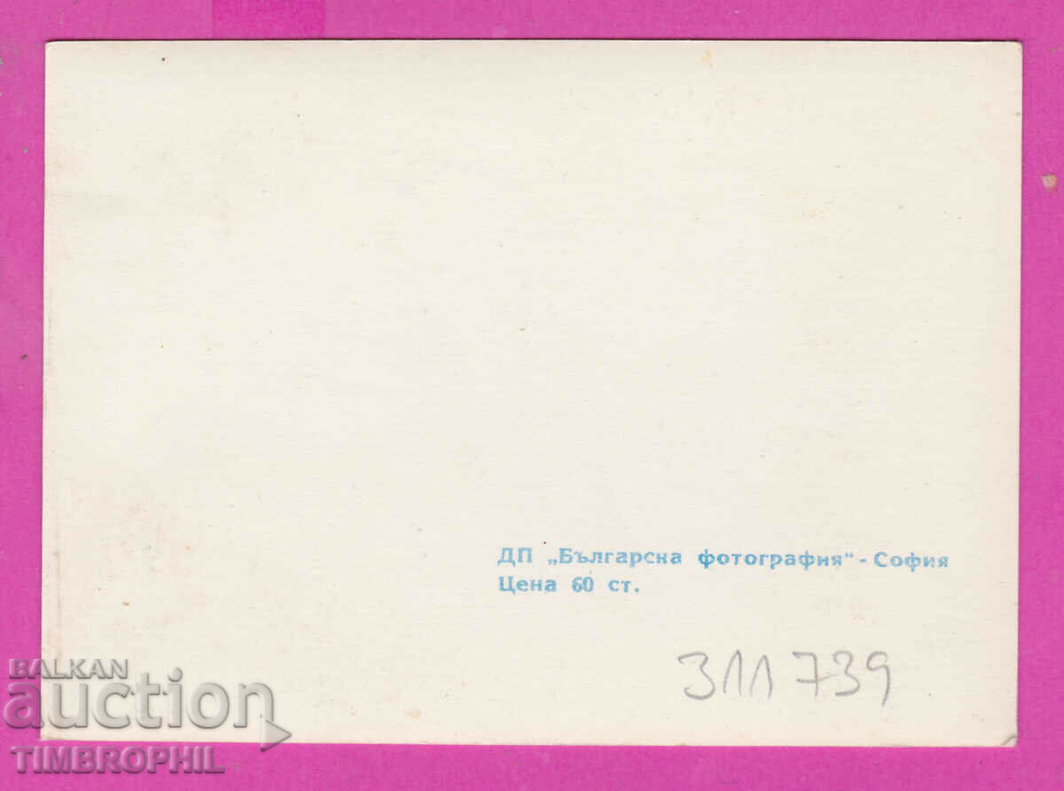 Delivery of 311739 / Targovishte - PK Lake Bulgarian photography