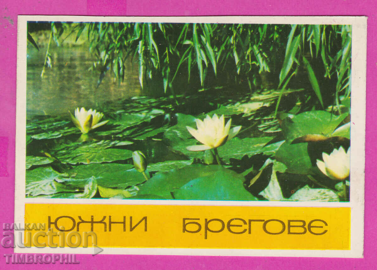 311750 / Река Ропотамо - водни лилии ПК Фотоиздат 1973