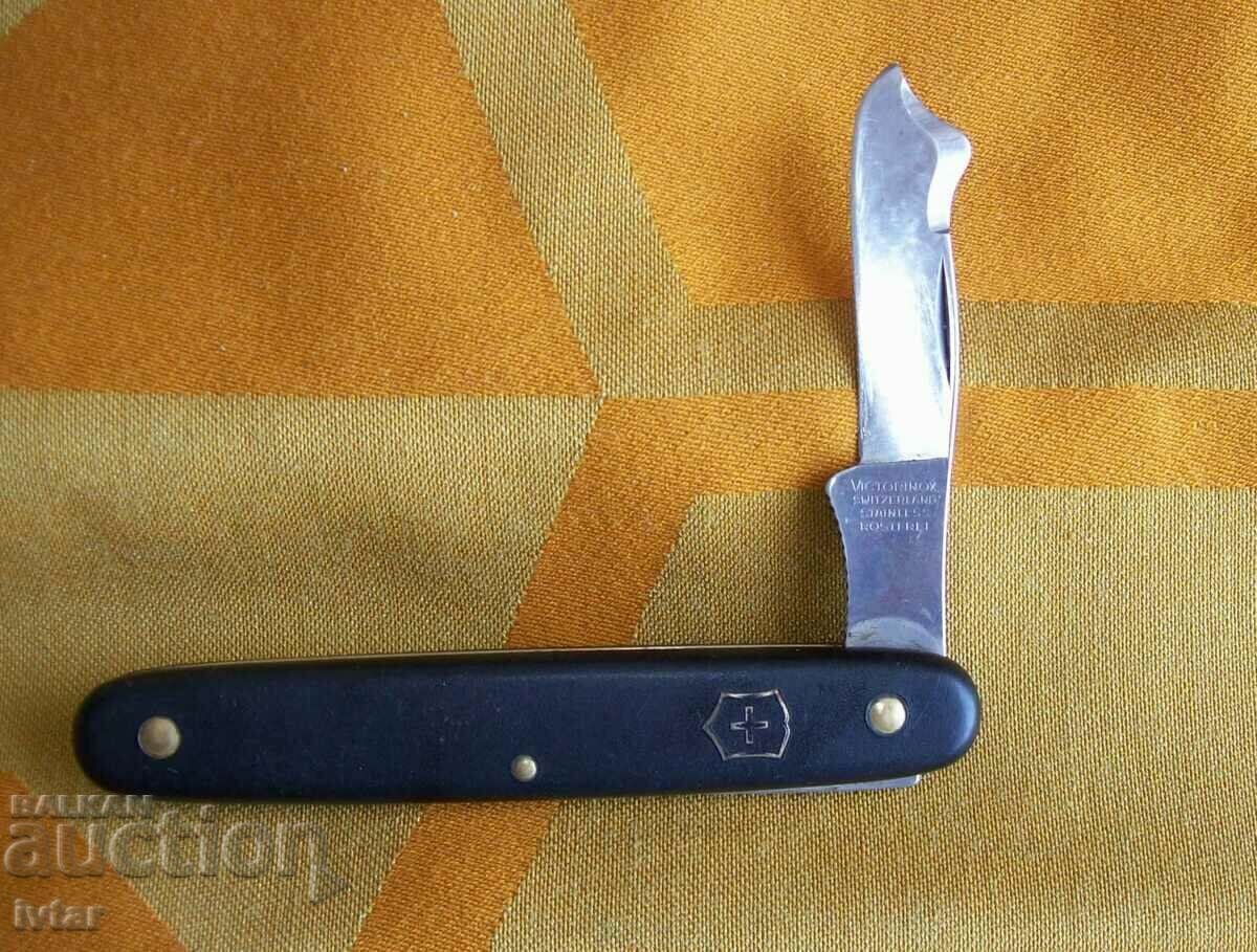 Auction Swiss rootstock for grafting/chilling/ VICTORINOX Auction Swiss rootstock for grafting/chilling/ VICTORINOX