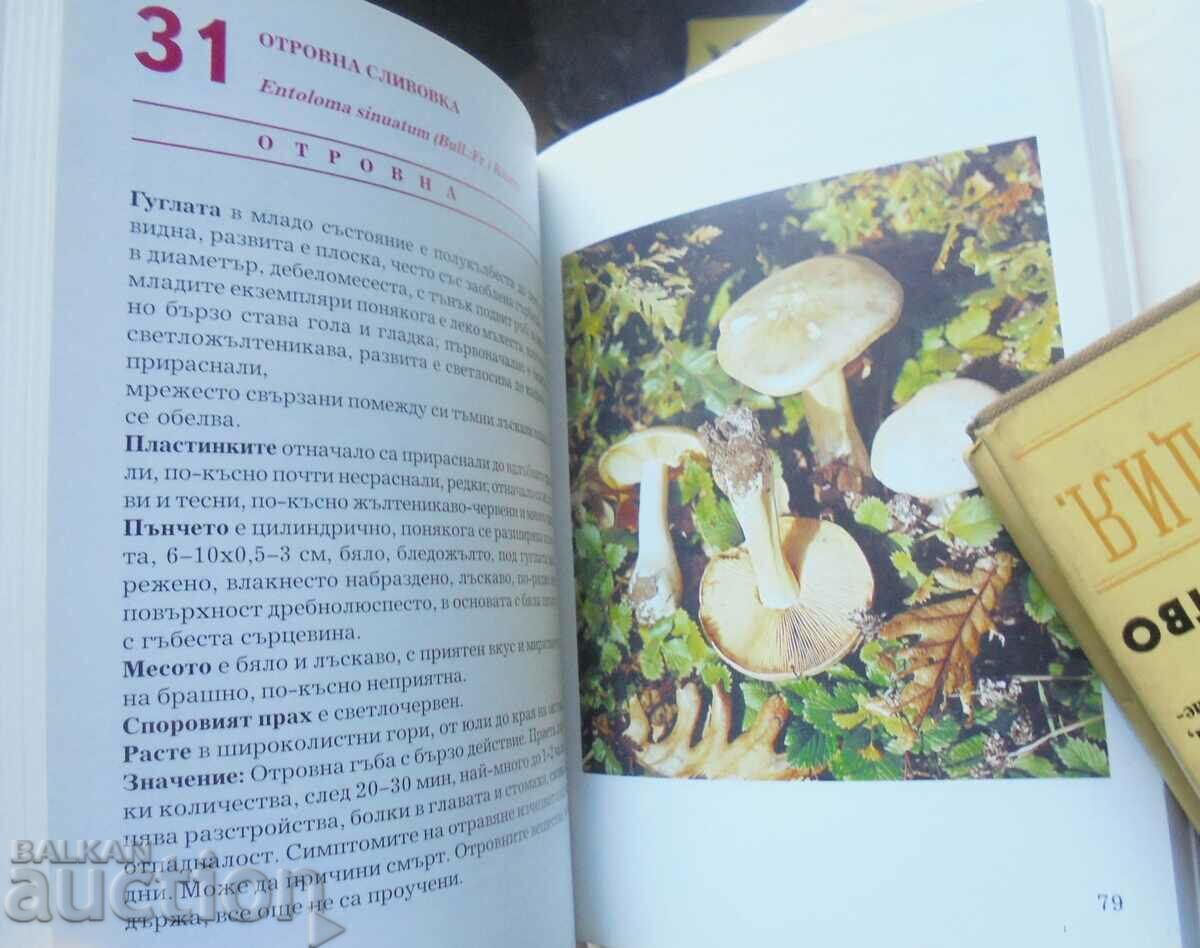 100 μανιτάρια - Maria Drumeva και άλλοι. 2010 με τιμή 50.00 BGN | € 25.56 100 μανιτάρια - Maria Drumeva και άλλοι. 2010 με τιμή 50.00 BGN | € 25.56