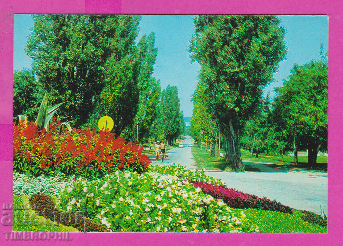 311843 / Курорт ДРУЖБА - из парка 1973 ПК Фотоиздат