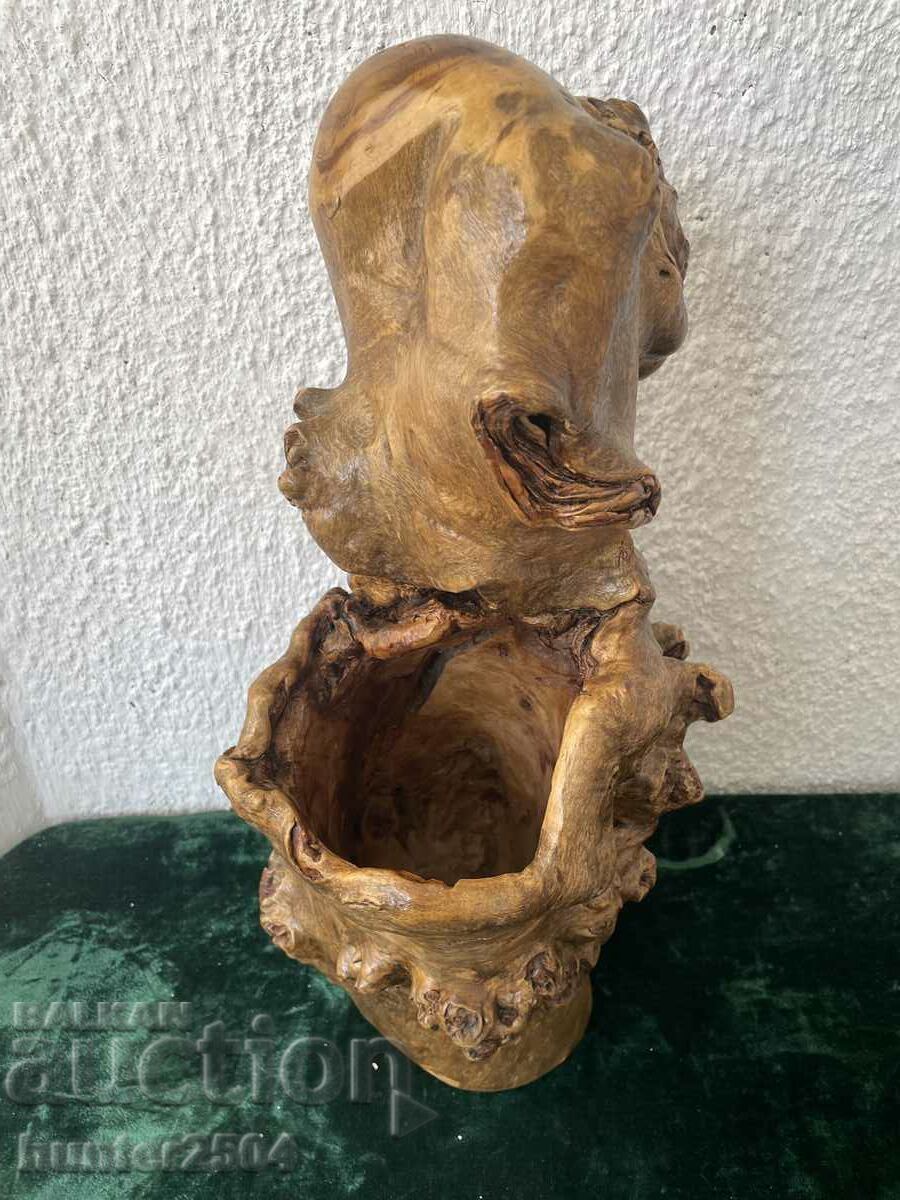 Livrarea Arborele-umbrelă, 51 cm