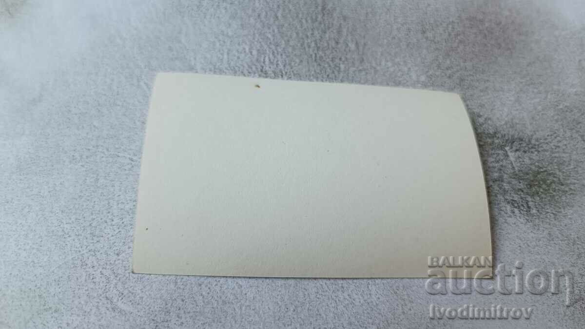 Photo Men and women on the beach with price 1.35 BGN | € 0.69 Photo Men and women on the beach with price 1.35 BGN | € 0.69