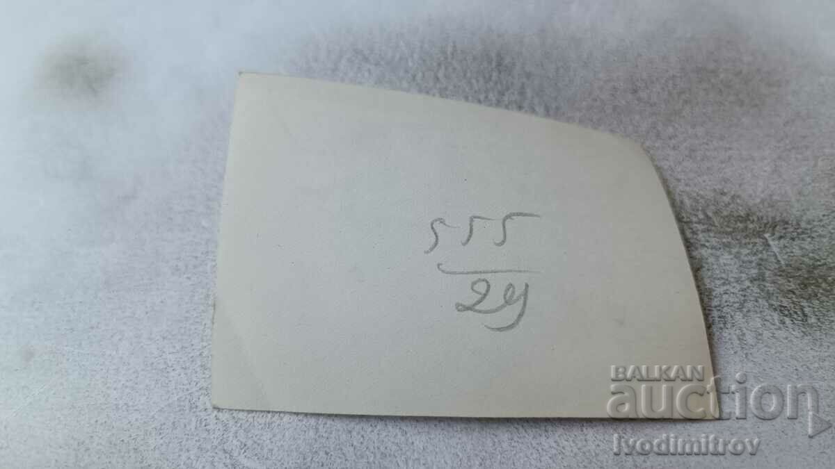 Photo Men, woman and two children on a diving board in a swimming pool with price 1.65 BGN | € 0.84 Photo Men, woman and two children on a diving board in a swimming pool with price 1.65 BGN | € 0.84