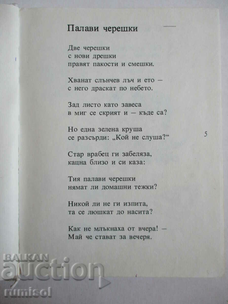 Delivery of Patok draws a rocket - Liliana Stefanova Delivery of Patok draws a rocket - Liliana Stefanova