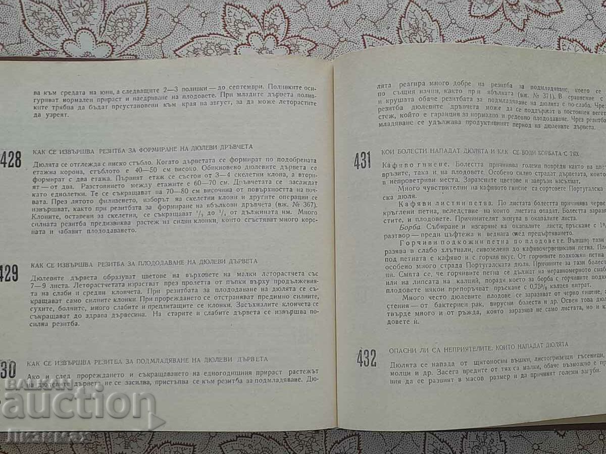 700 tips for the hobby gardener with price 10.00 BGN | € 5.11 700 tips for the hobby gardener with price 10.00 BGN | € 5.11