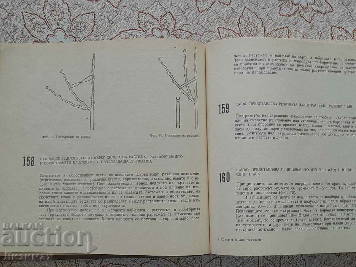 Delivery of 700 tips for the hobby gardener Delivery of 700 tips for the hobby gardener