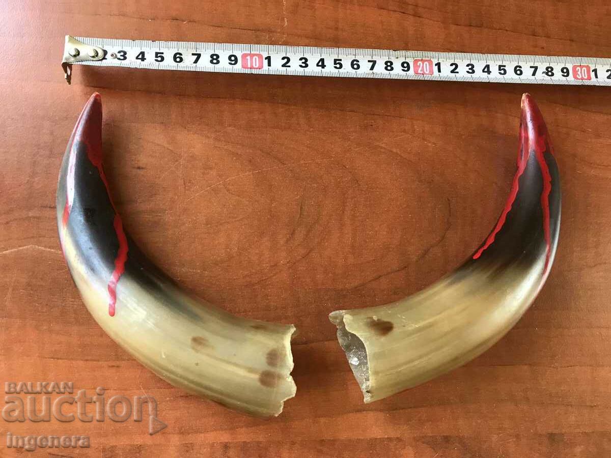 HORN HORN HORN FOR GUN POWDER OR OTHER - 2 PCS. KIT with price 29.00 BGN | € 14.83 HORN HORN HORN FOR GUN POWDER OR OTHER - 2 PCS. KIT with price 29.00 BGN | € 14.83