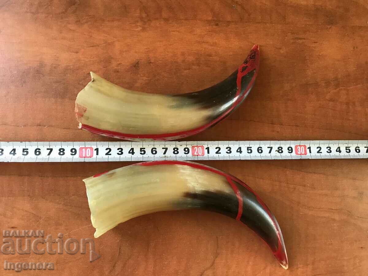 HORN HORN HORN FOR GUN POWDER OR OTHER - 2 PCS. KIT - 5 HORN HORN HORN FOR GUN POWDER OR OTHER - 2 PCS. KIT - 5