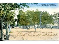 Card "Lom. View of the boulevard." Bulgaria.