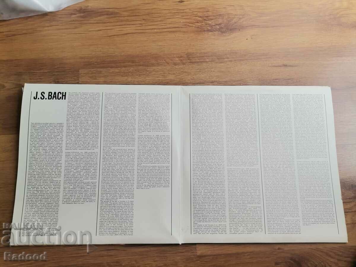 Auction Zuzana Ruznakova Auction Zuzana Ruznakova