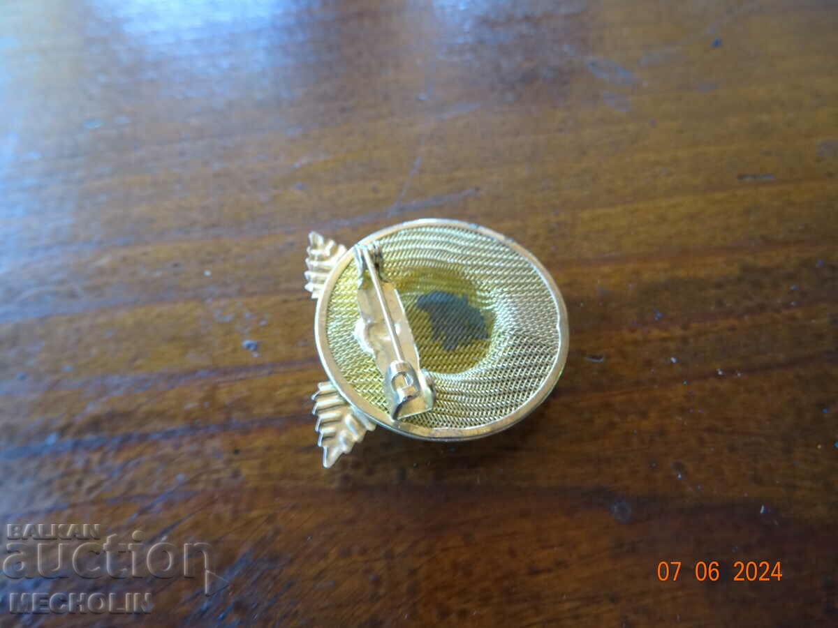 BEAUTIFUL BROOCH 2 - 5 BEAUTIFUL BROOCH 2 - 5