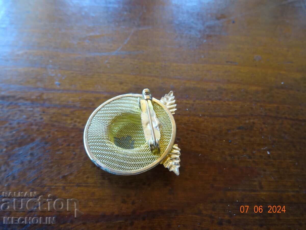 BEAUTIFUL BROOCH 2 - 7 BEAUTIFUL BROOCH 2 - 7