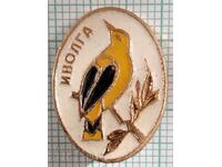 16059 Badge - Oriole bird - family of sparrows