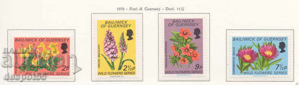 1972. Guernsey. Flori sălbatice.