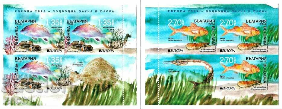 Clear marks in Europe SEPTIC Pisces 2024 card from Bulgaria