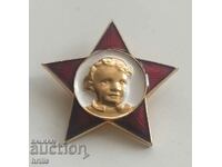 URSS - ESMALĂ - VLADIMIR ILYCH LENIN