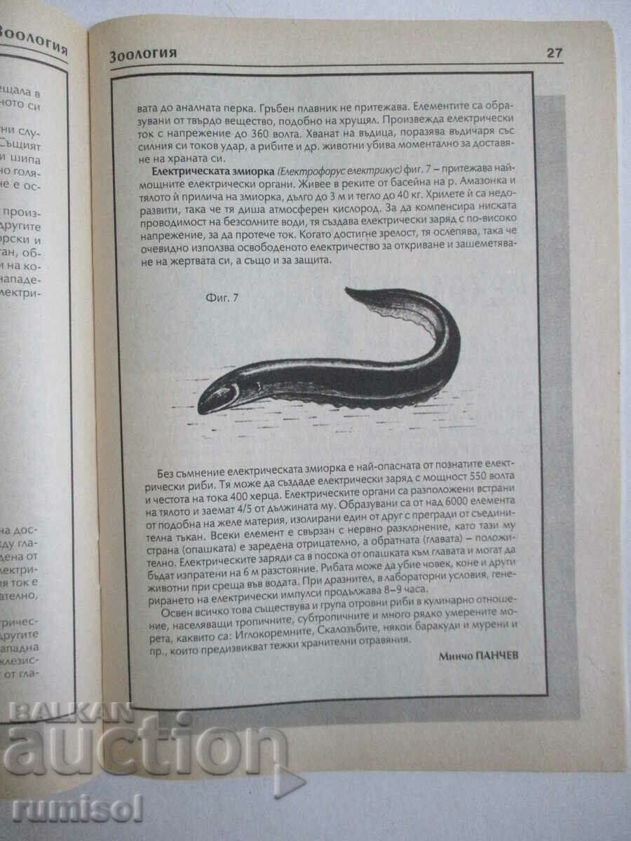 Επιστήμη και τεχνολογία - Αρ. 10/1999 - 5 Επιστήμη και τεχνολογία - Αρ. 10/1999 - 5