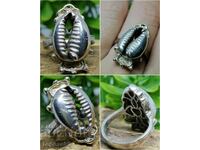 Масивен сребърен пръстен с изображение на раковина каури