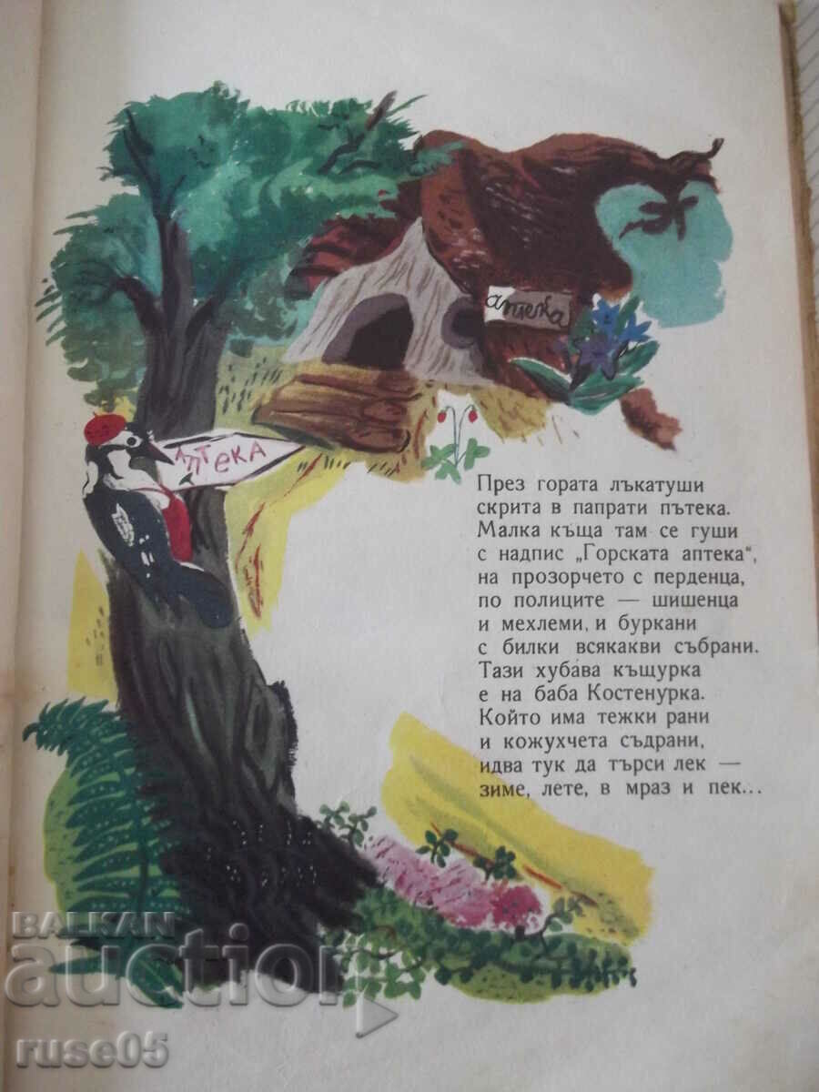 Delivery of Book "Colorful book - Neva Tuzsuzova" - 48 pages.