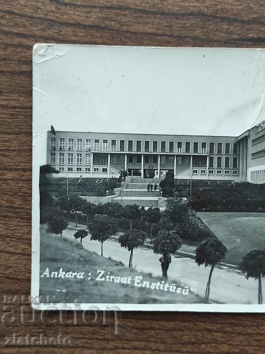 Auction Postcard Turkey - Ankara, Real Photo Auction Postcard Turkey - Ankara, Real Photo