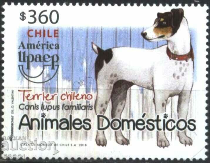 Pure brand America UPAEP Fauna Dog 2018 από τη Χιλή